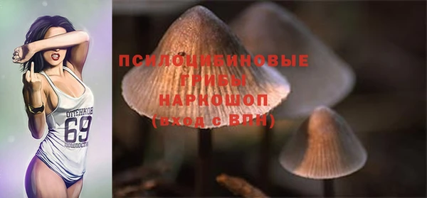 ALPHA-PVP Богданович
