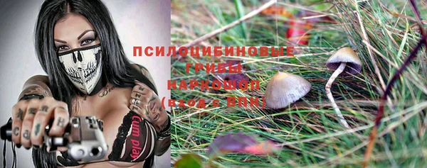 амф Болохово