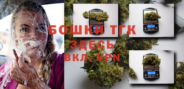 тгк Богородск