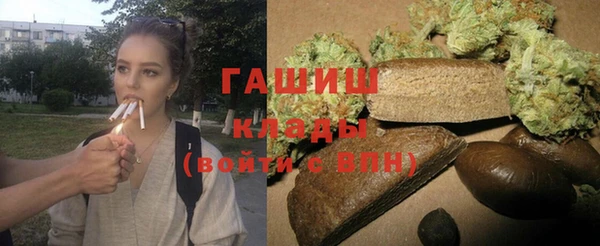spice Бородино